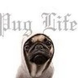 Meet your Posher, Rayle